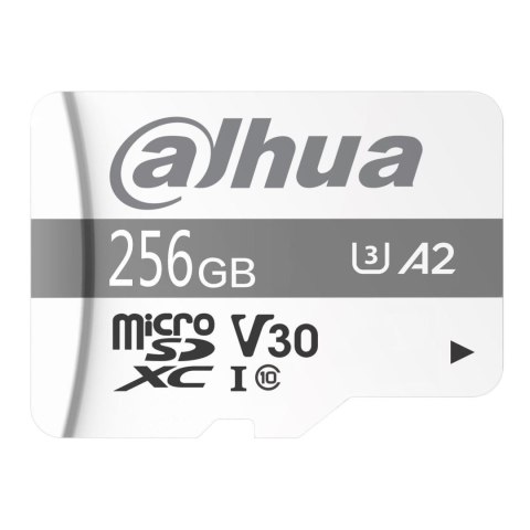 DAHUA Karta pamięci Dahua P100 microSD 256GB