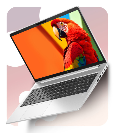 HP Elitebook 650 G10 HP Elitebook 650 G10