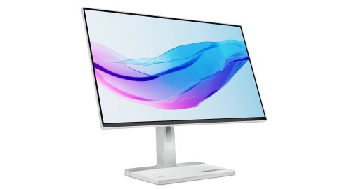 Lenovo L24m-4A 23.8"FHD IPS 100Hz 250nits AG HDMI DP USB Cloud Grey