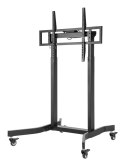 TECHLY STOJAK MOBILNY TV 55-100" DO 120KG ELEKTRYC