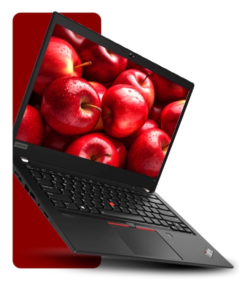 Laptop Lenovo ThinkPad T14 Gen 2 i7 24GB RAM 512GB SSD 14" Full HD GeForce MX450 powystawowy