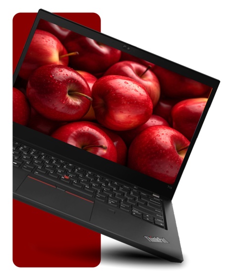 Laptop Lenovo ThinkPad T14 Gen 2 i7 24GB RAM 1TB SSD 14" Full HD GeForce MX450 powystawowy