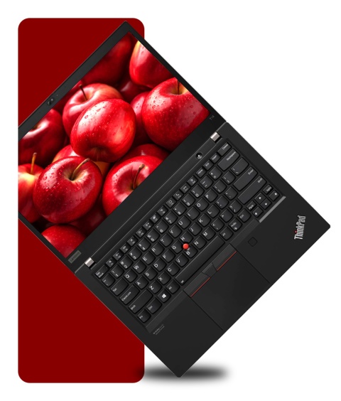 Laptop Lenovo ThinkPad T14 Gen 2 i7 24GB RAM 1TB SSD 14" Full HD GeForce MX450 powystawowy