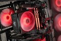 Actina PBM 5600/16GB/500GB/RTX5060/650W/W11H